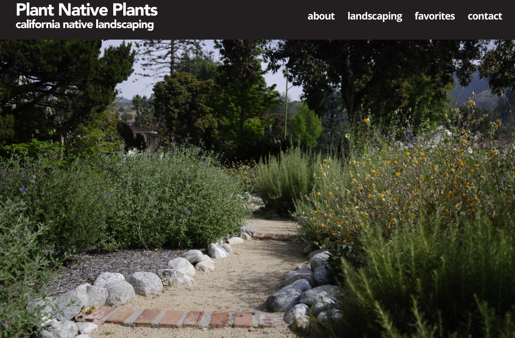 Plant Native Plants